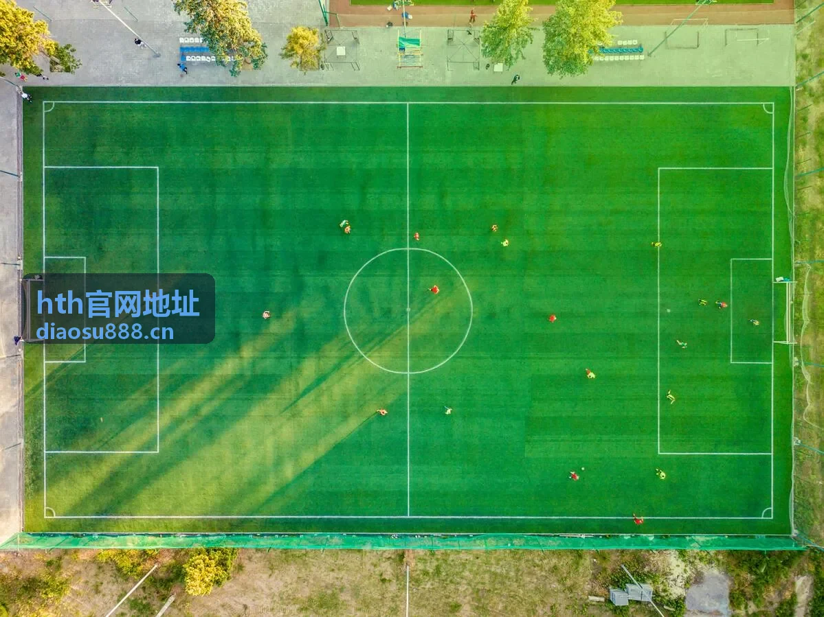 hth官网地址的手机端表现辅导封面入口